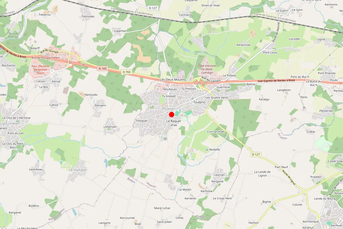 Remplacement de serrure à Ploeren