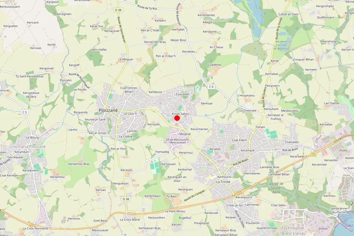 Remplacement de serrure à Plouzane