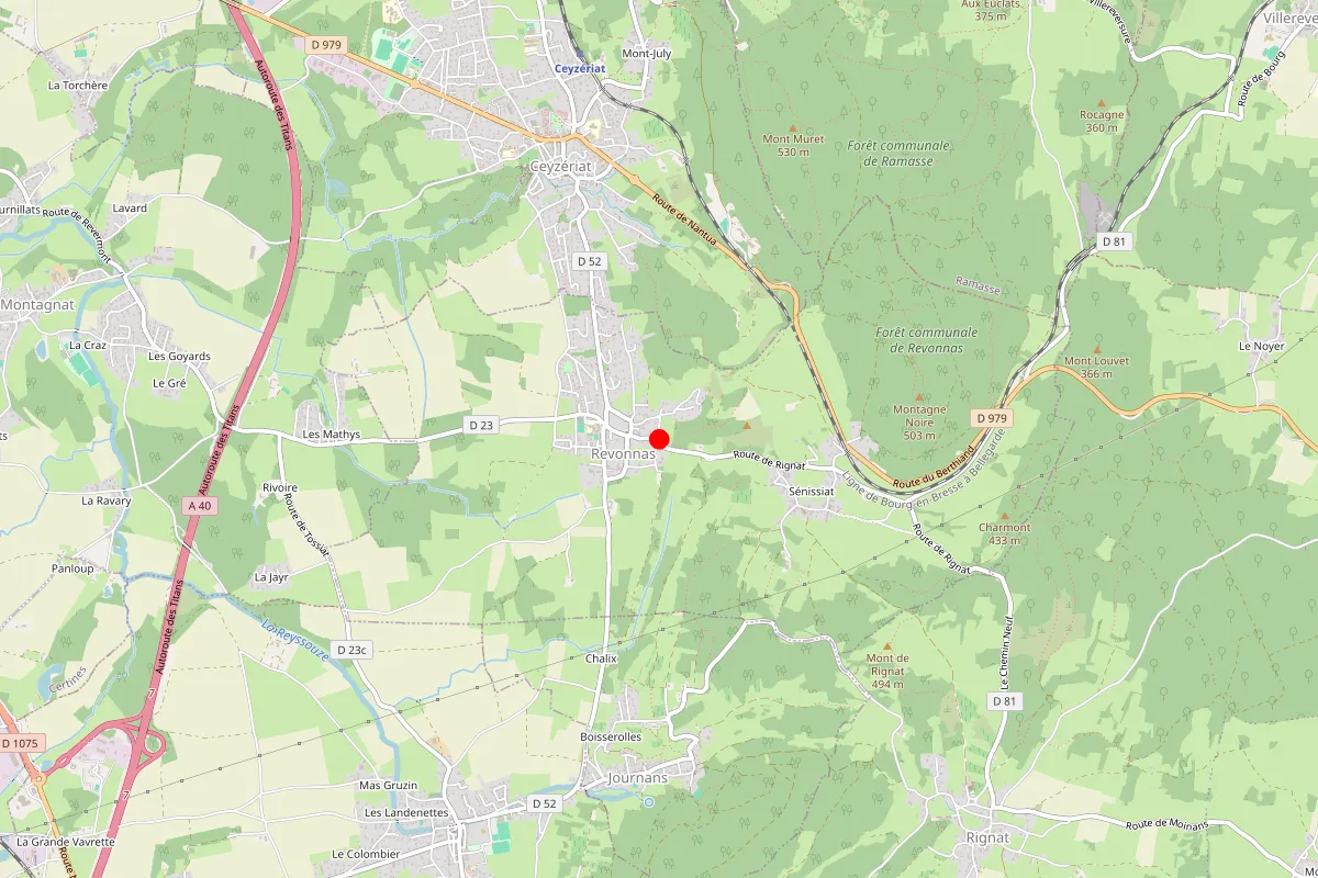 Remplacement de serrure à Revonnas