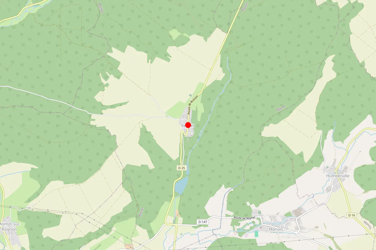 Remplacement de serrure à Reynel