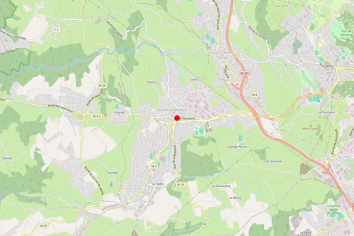 Remplacement de serrure à Roche La Moliere