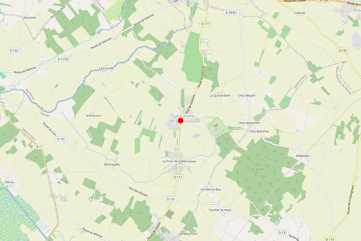 Remplacement de serrure à Sablonceaux