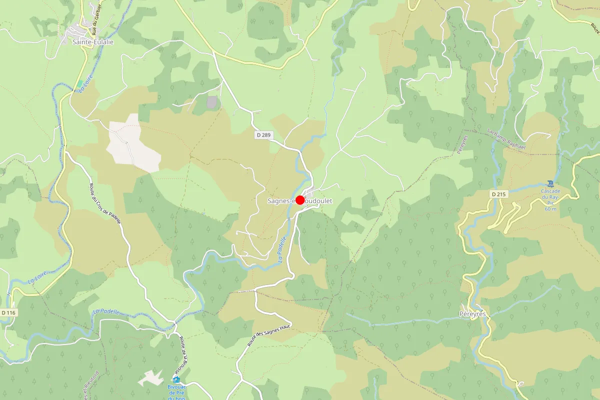Remplacement de serrure à Sagnes Et Goudoulet
