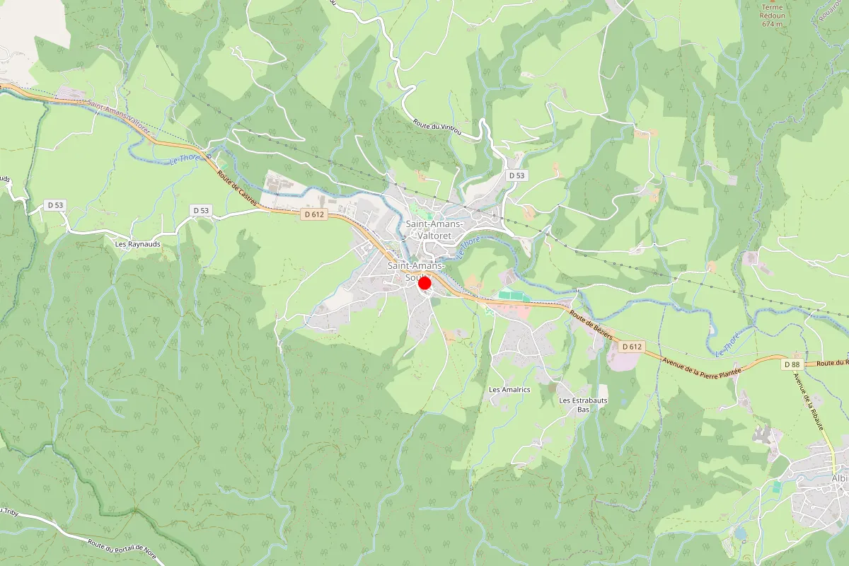 Remplacement de serrure à Saint Amans Soult