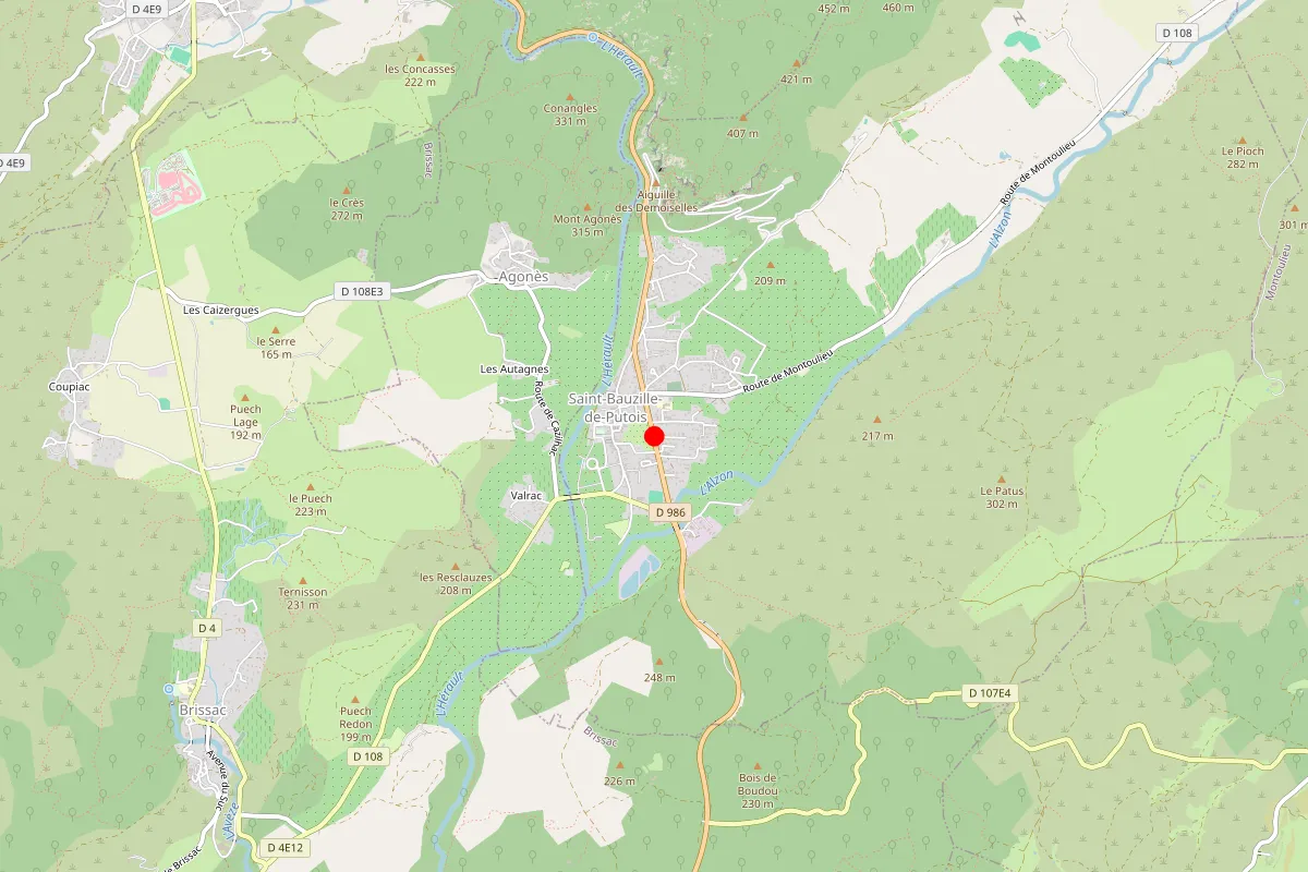 Remplacement de serrure à Saint Bauzille De Putois
