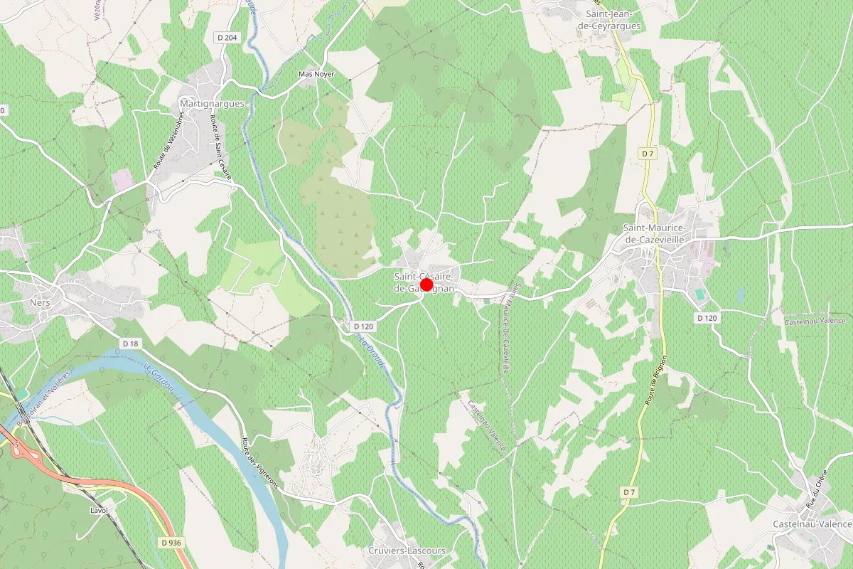 Remplacement de serrure à Saint Cesaire De Gauzignan