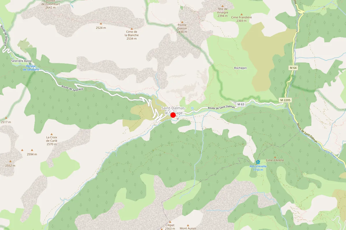 Remplacement de serrure à Saint Dalmas Le Selvage