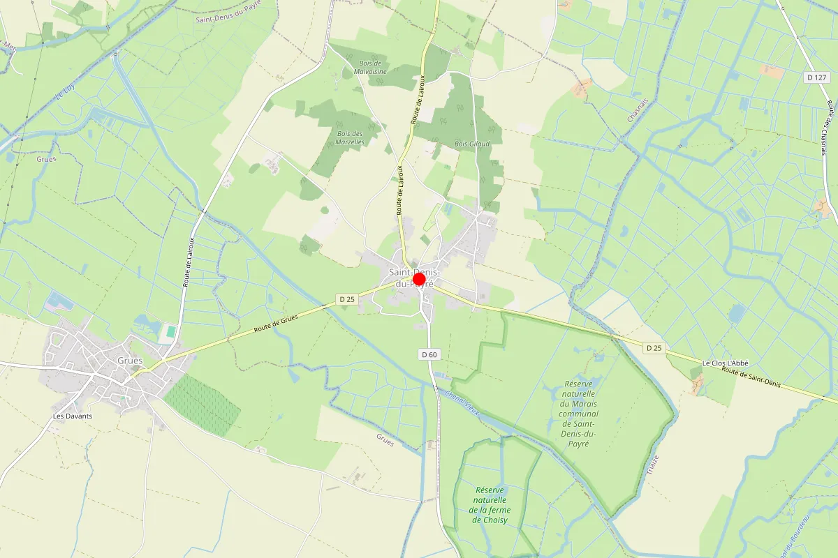 Remplacement de serrure à Saint Denis Du Payre