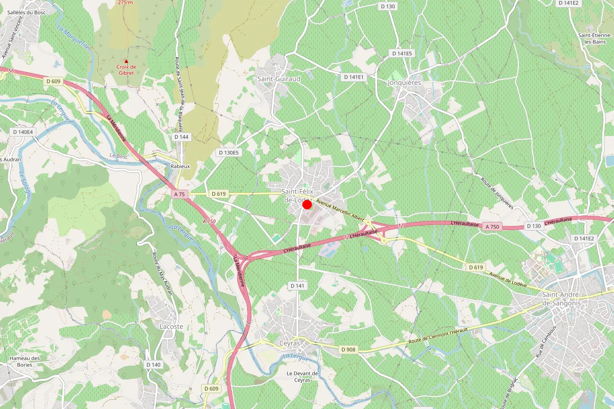 Remplacement de serrure à Saint Felix De Lodez