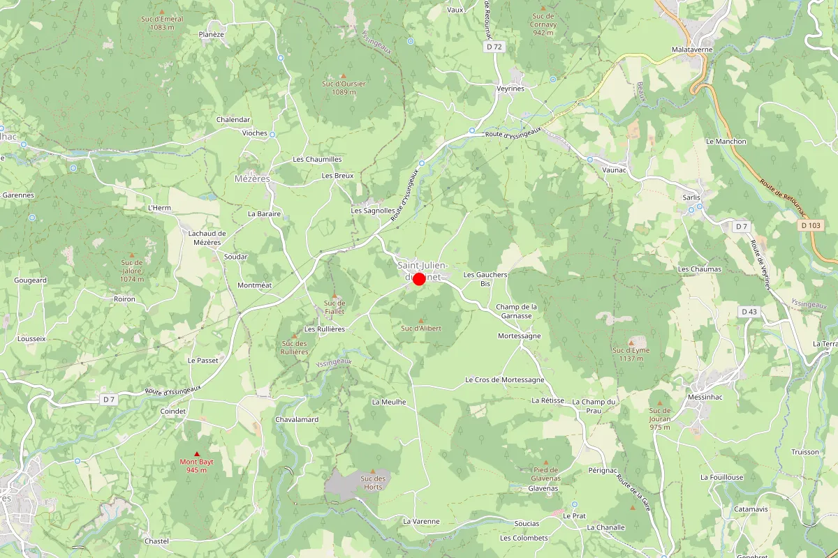 Remplacement de serrure à Saint Julien Du Pinet