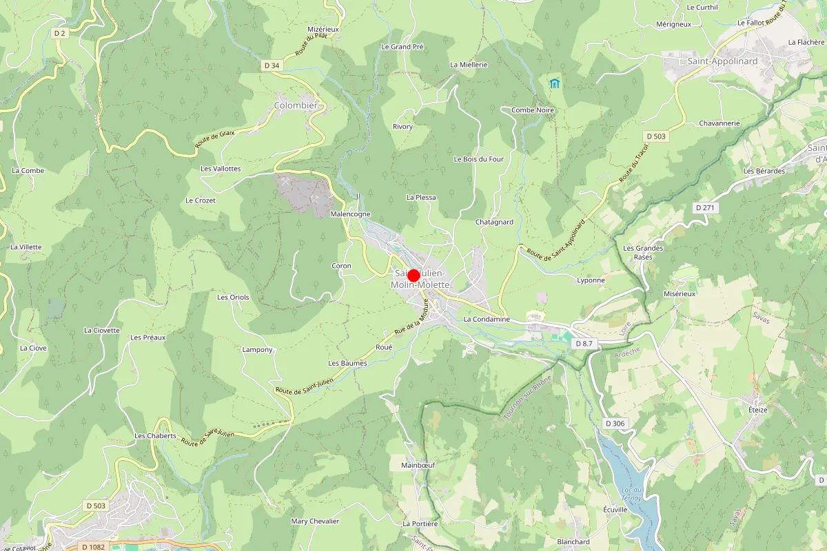 Remplacement de serrure à Saint Julien Molin Molette