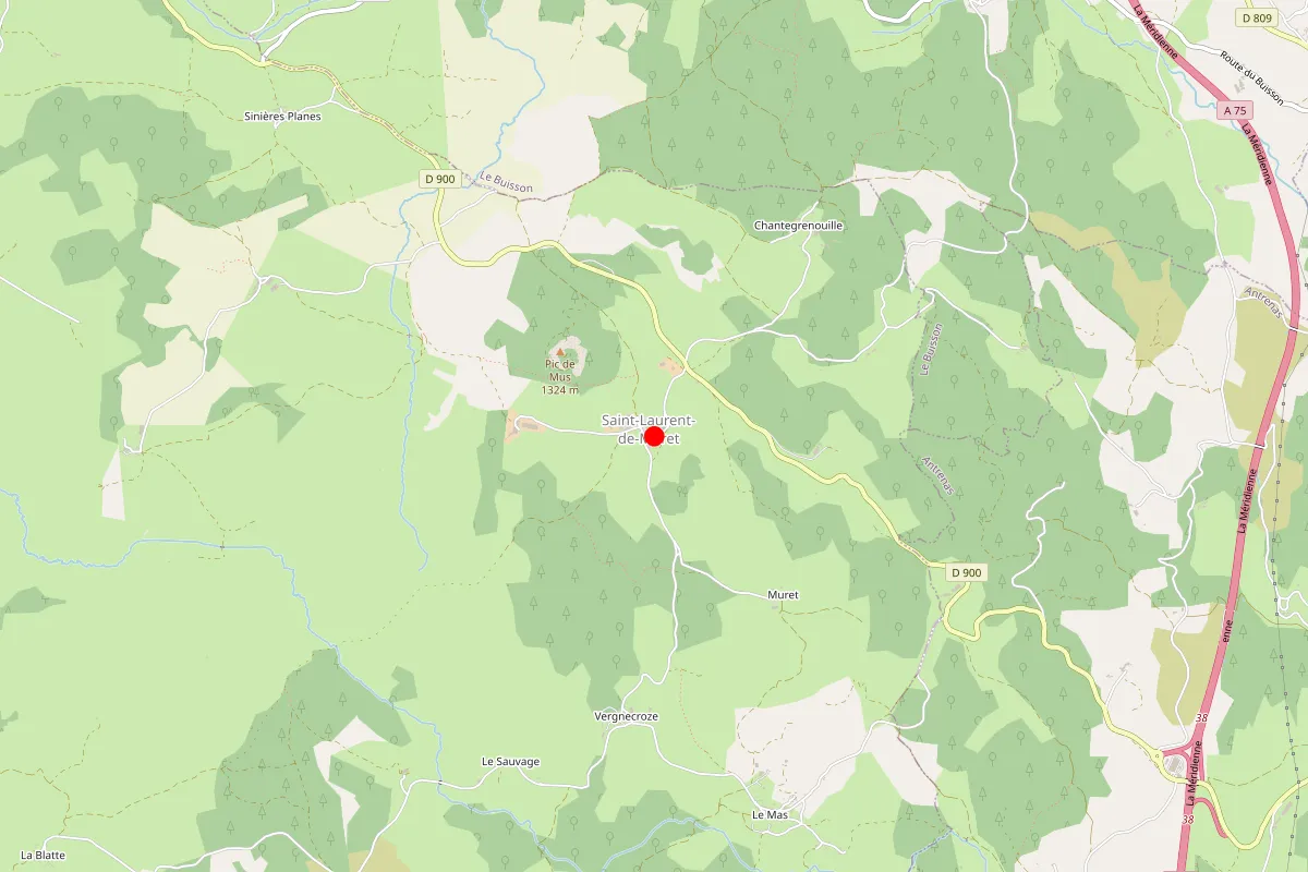 Remplacement de serrure à Saint Laurent De Muret