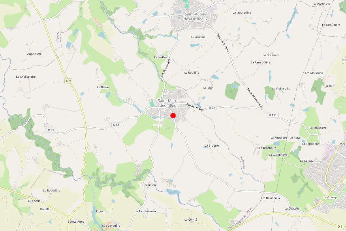 Remplacement de serrure à Saint Martin Des Tilleuls