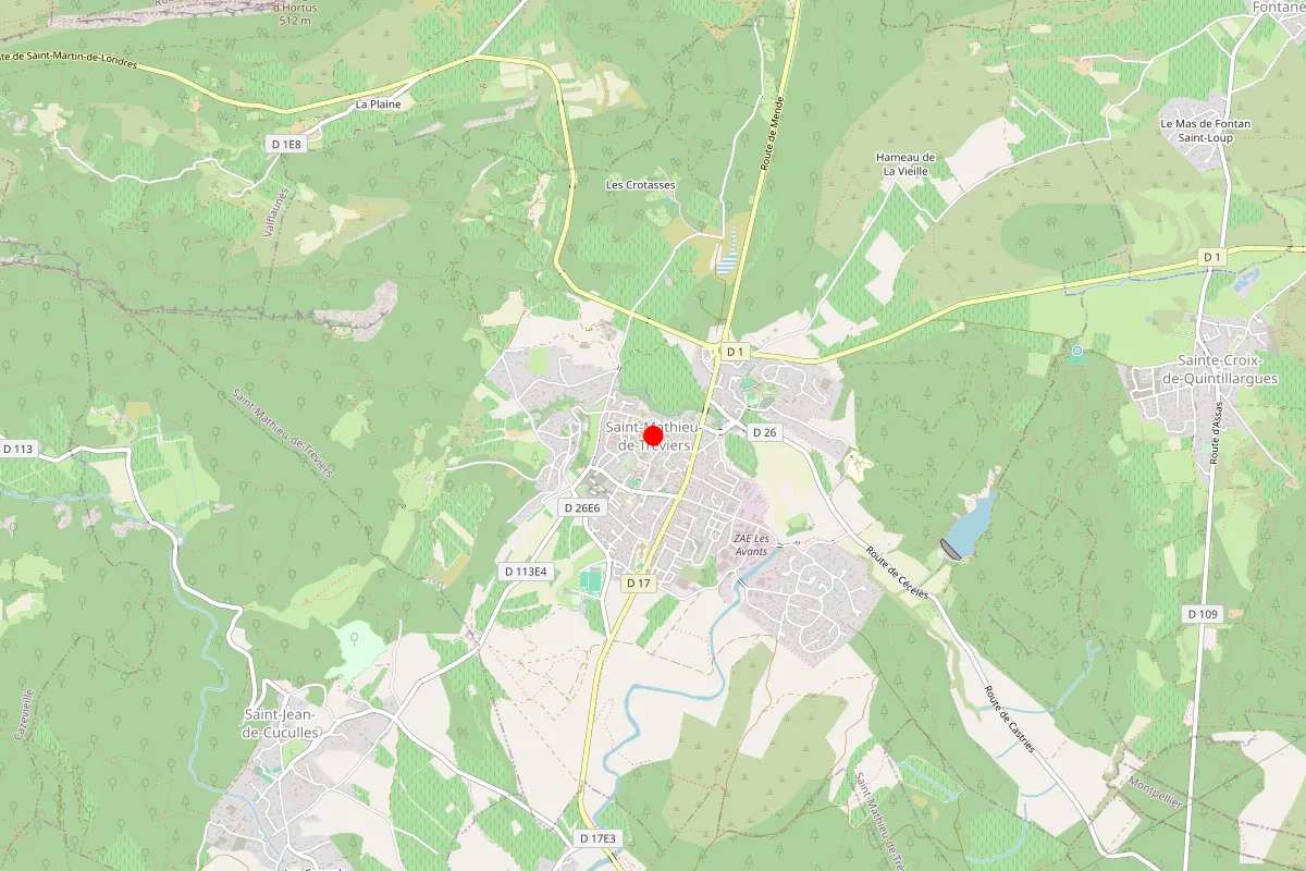 Remplacement de serrure à Saint Mathieu De Treviers