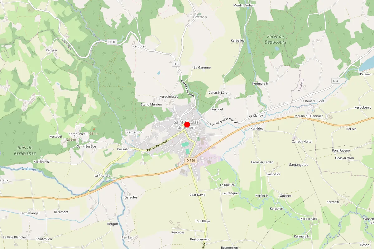 Remplacement de serrure à Saint Nicolas Du Pelem