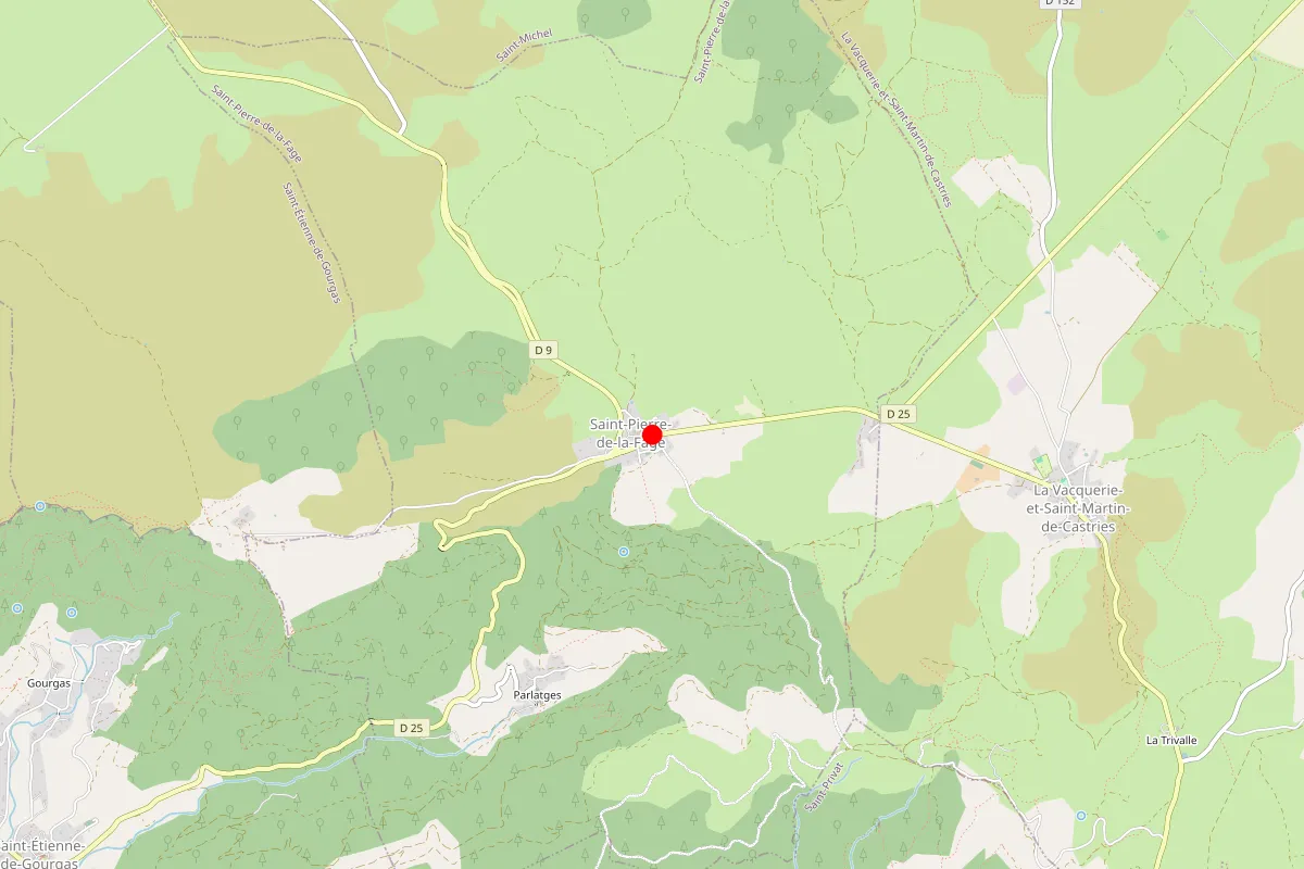 Remplacement de serrure à Saint Pierre De La Fage
