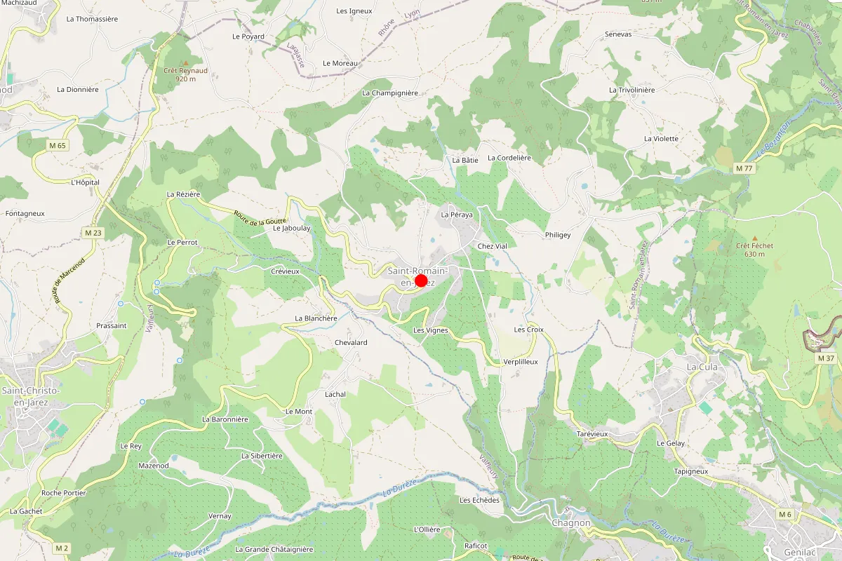 Remplacement de serrure à Saint Romain En Jarez
