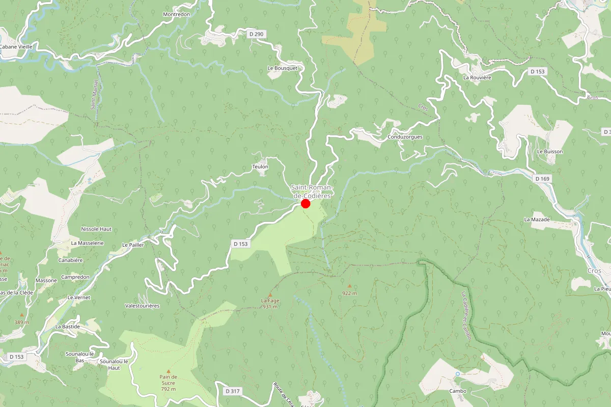 Remplacement de serrure à Saint Roman De Codieres