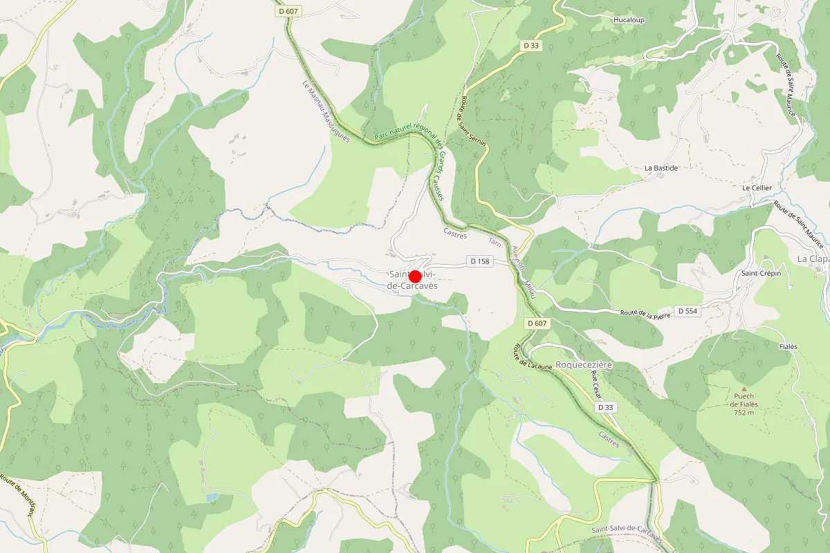 Remplacement de serrure à Saint Salvi De Carcaves
