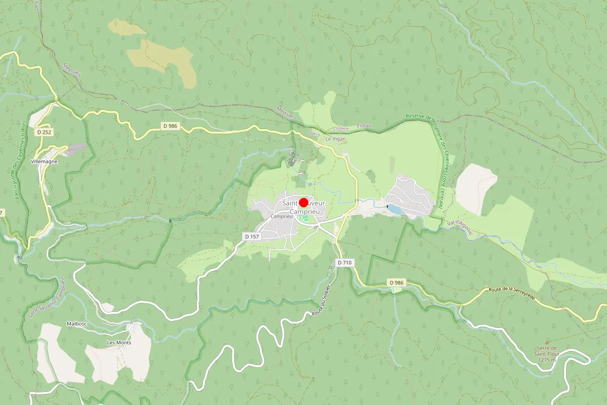 Remplacement de serrure à Saint Sauveur Camprieu