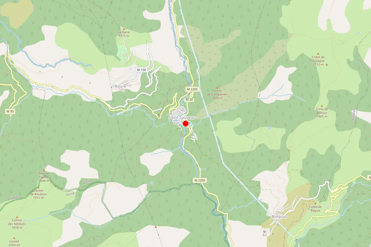 Remplacement de serrure à Saint Sauveur Sur Tinee