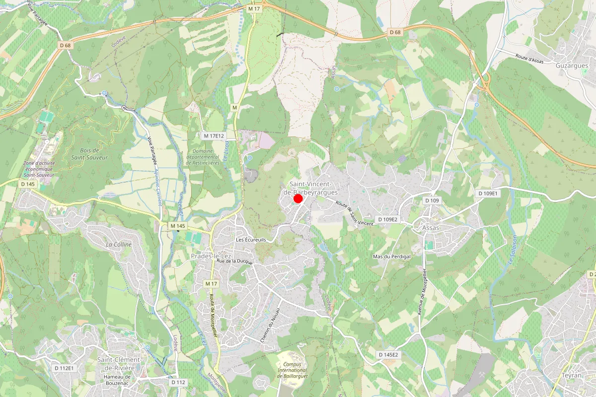 Remplacement de serrure à Saint Vincent De Barbeyrargues