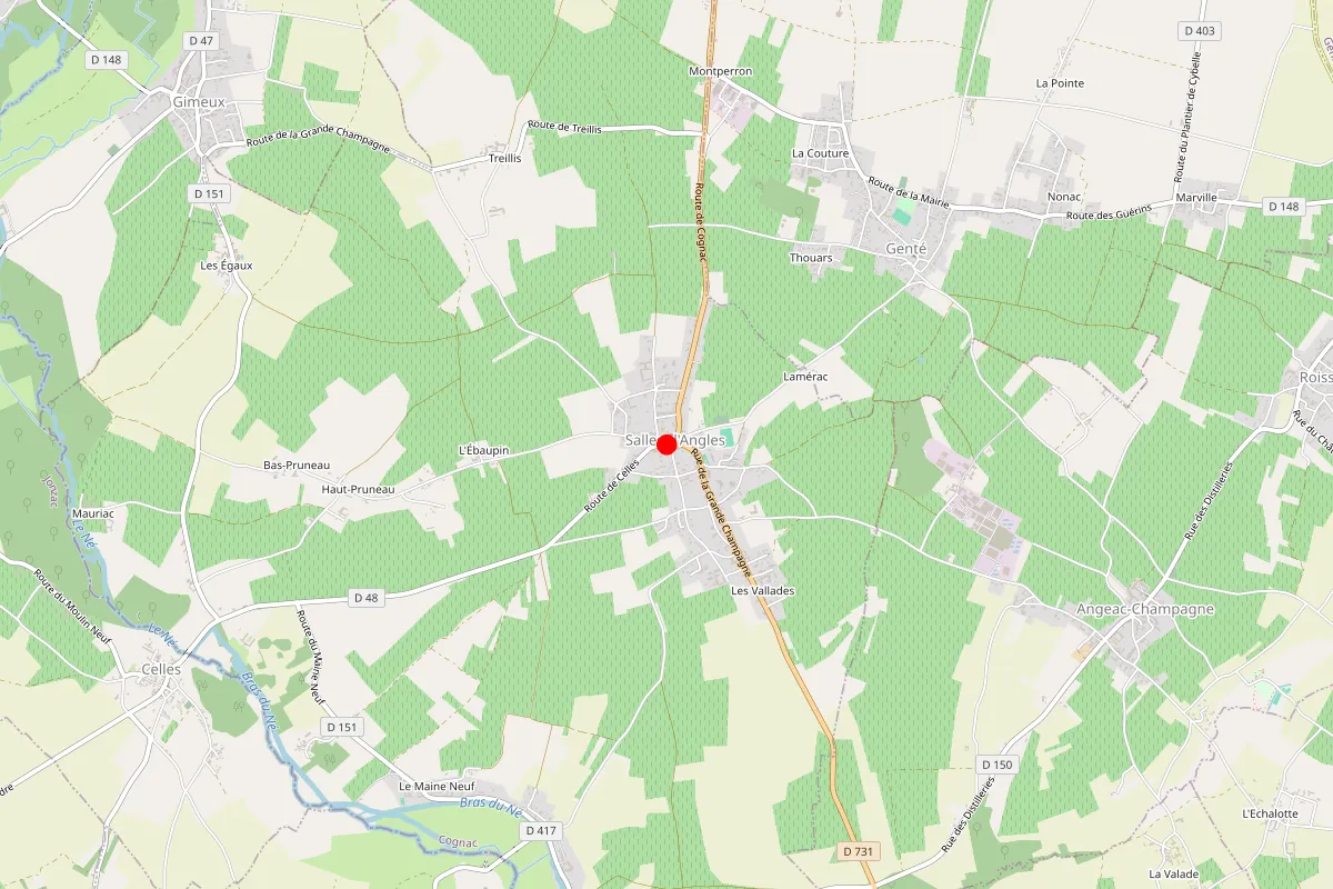 Remplacement de serrure à Salles D'Angles