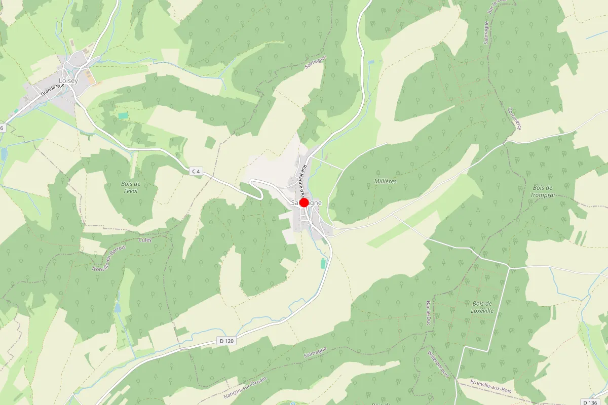 Remplacement de serrure à Salmagne