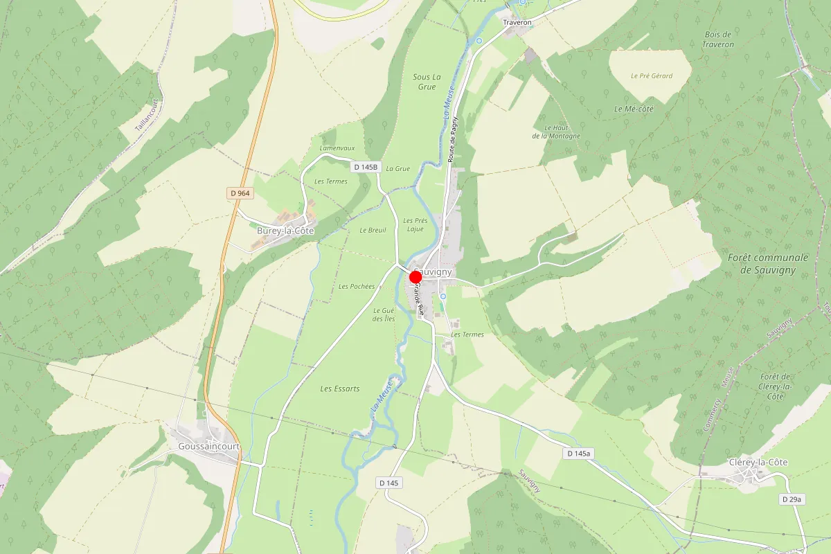 Remplacement de serrure à Sauvigny