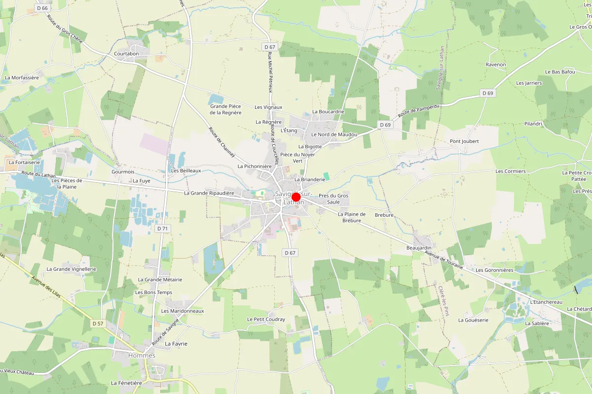 Remplacement de serrure à Savigne Sur Lathan