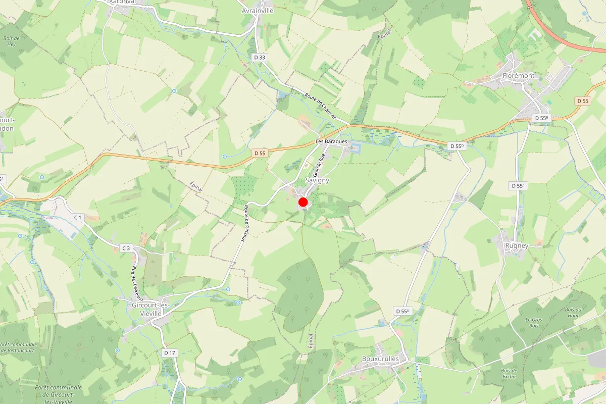 Remplacement de serrure à Savigny
