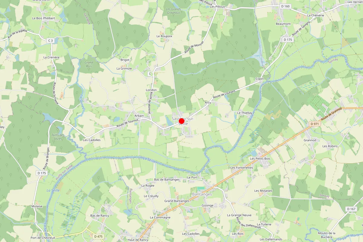 Remplacement de serrure à Savigny Sur Seille