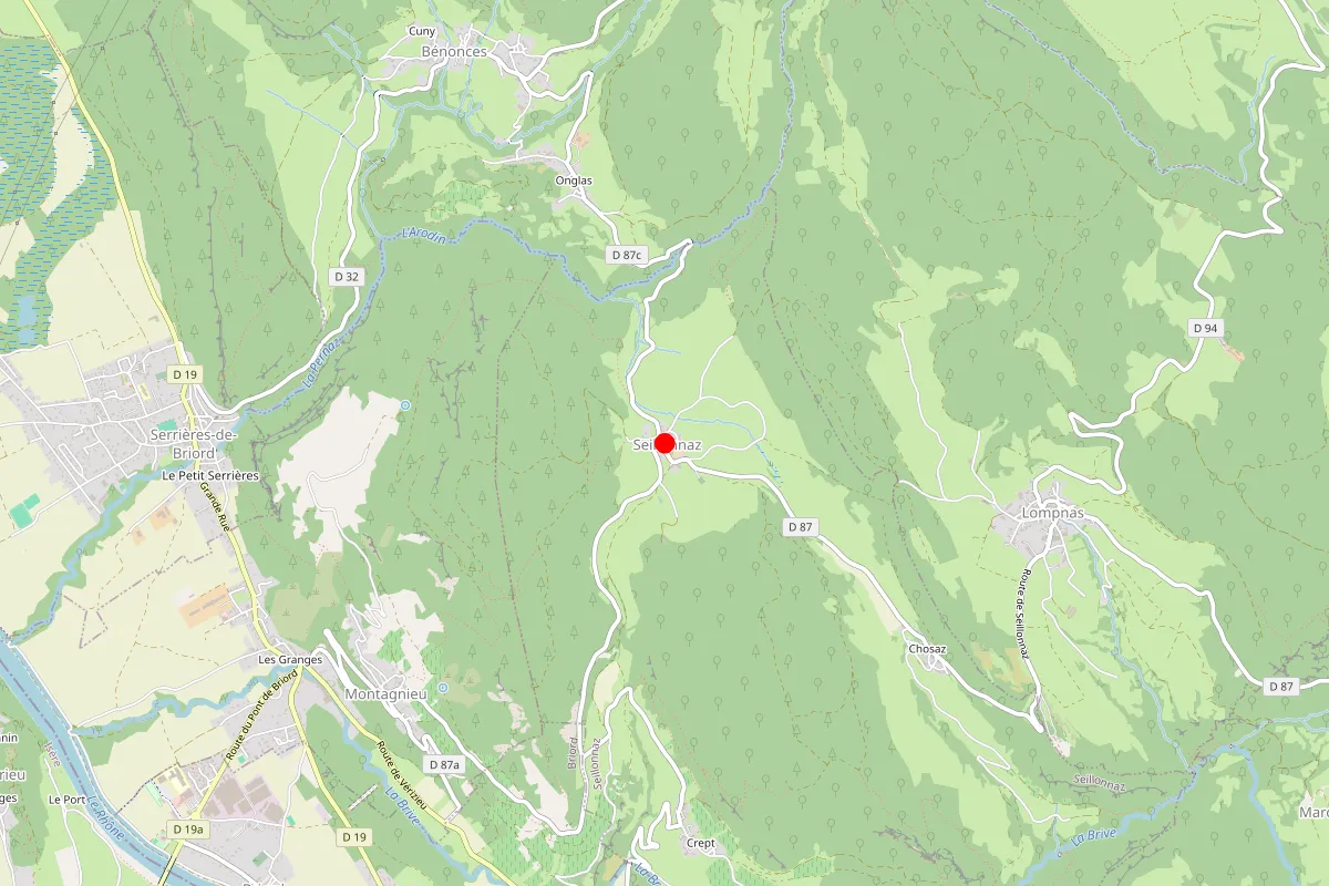 Remplacement de serrure à Seillonnaz