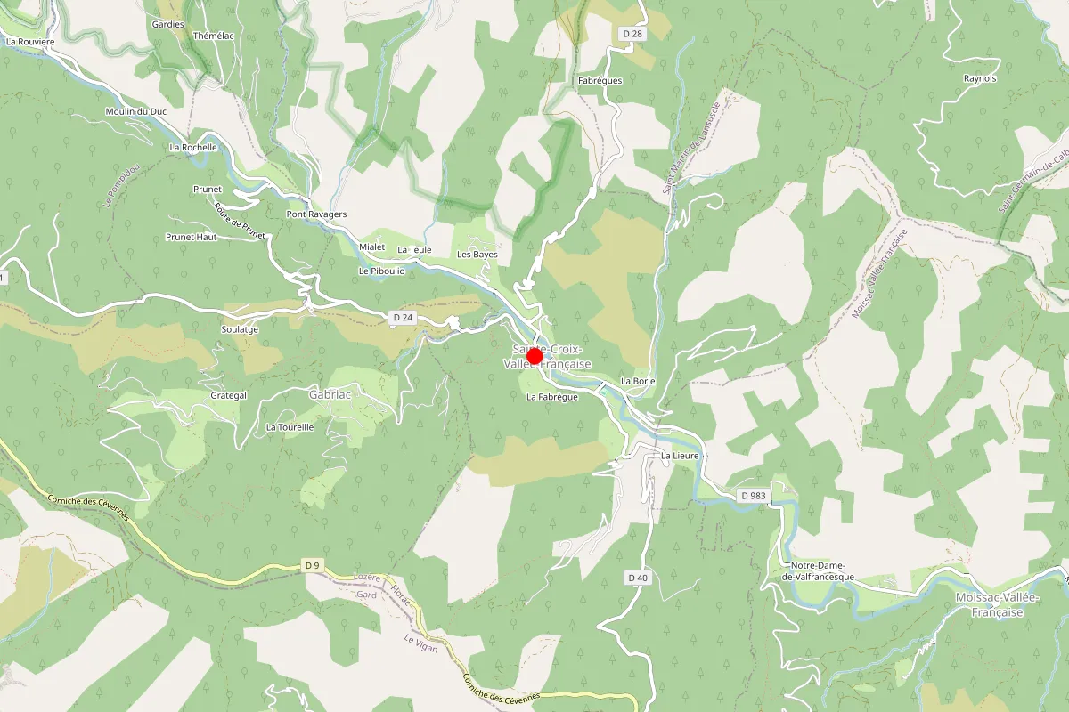 Remplacement de serrure à Ste Croix Vallee Francaise