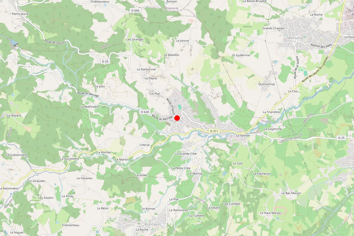 Remplacement de serrure à Thurins