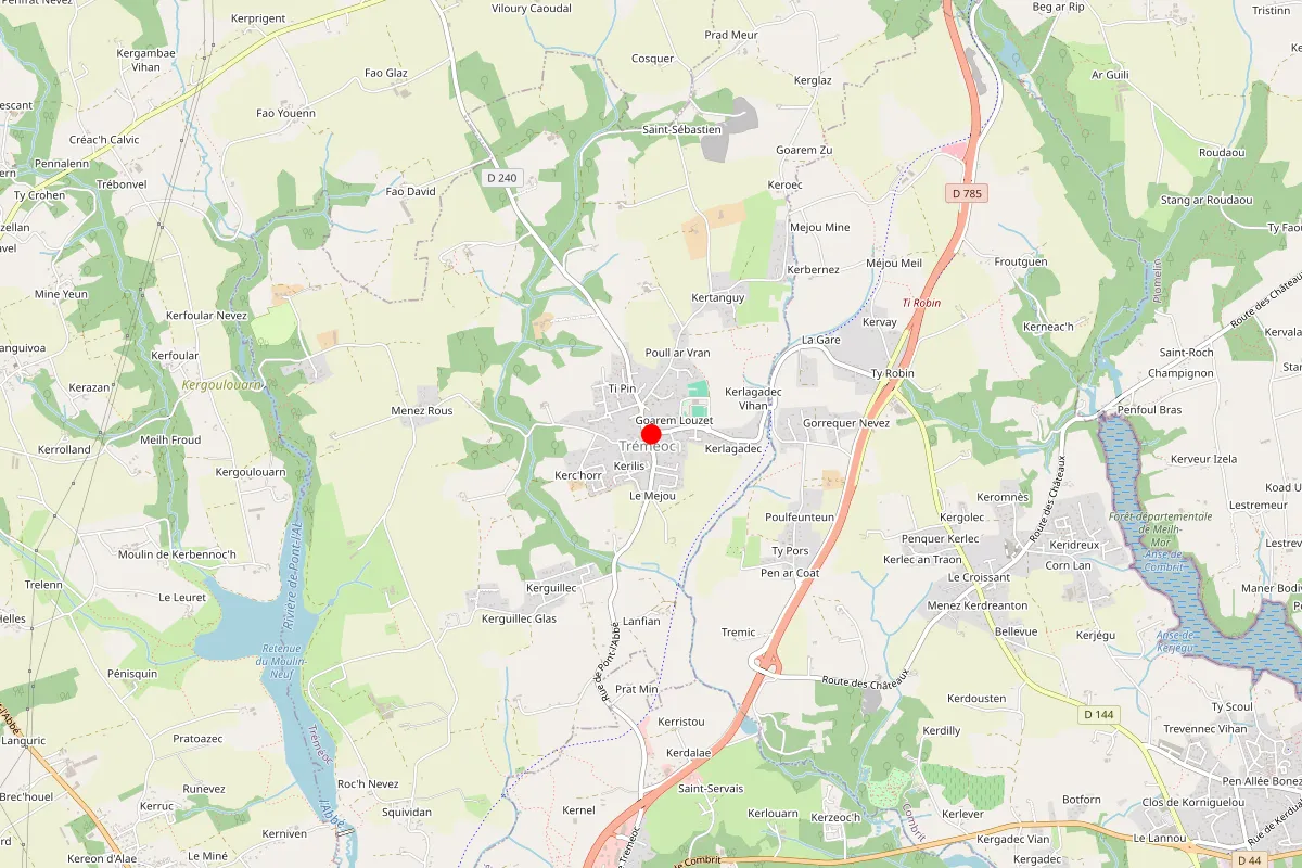 Remplacement de serrure à Tremeoc