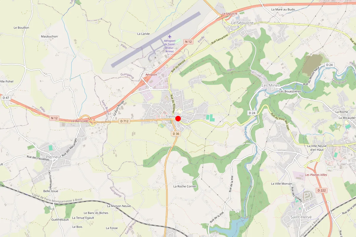 Remplacement de serrure à Tremuson