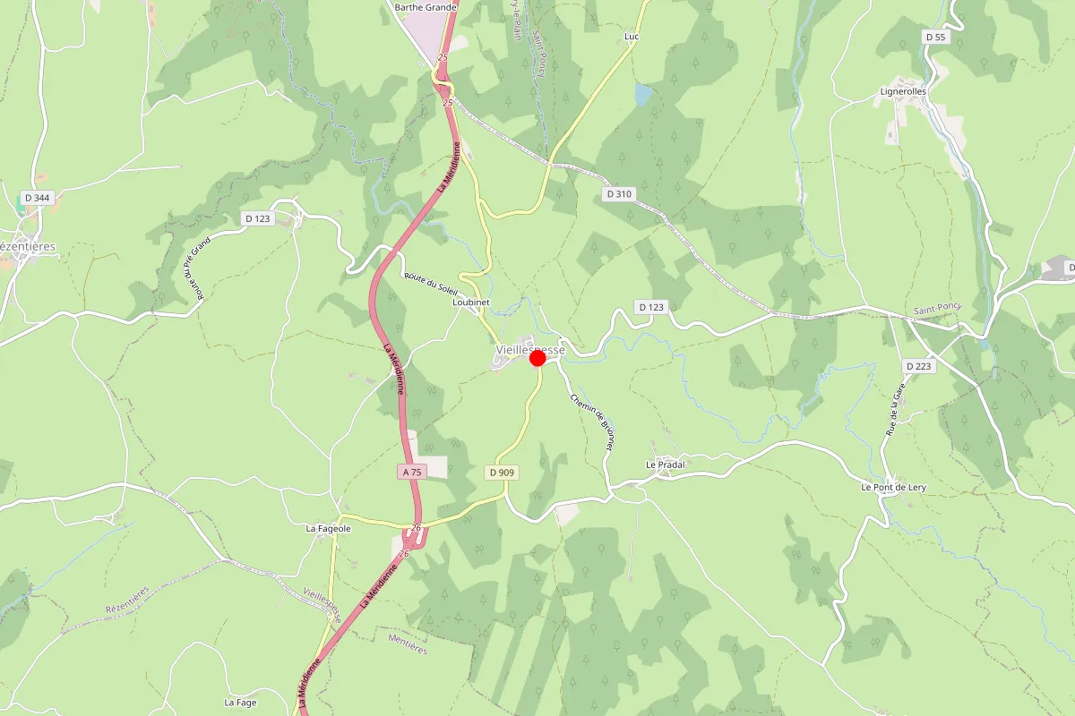 Remplacement de serrure à Vieillespesse