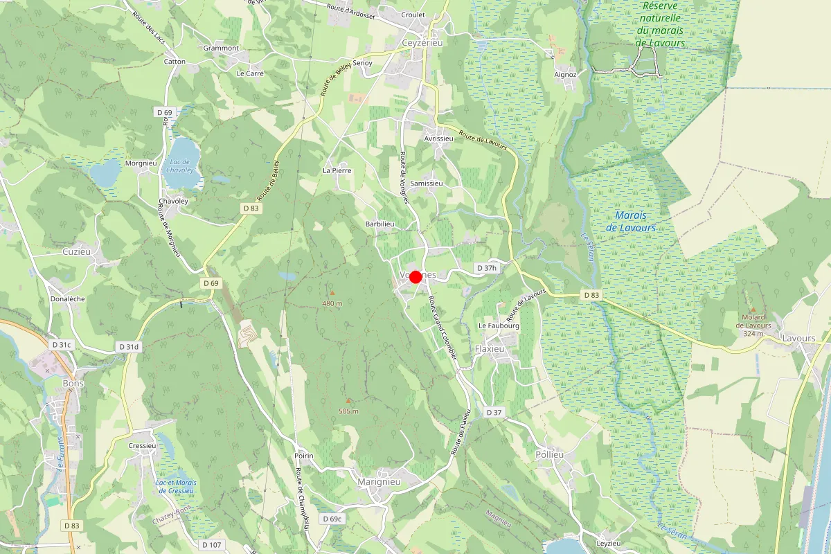 Remplacement de serrure à Vongnes