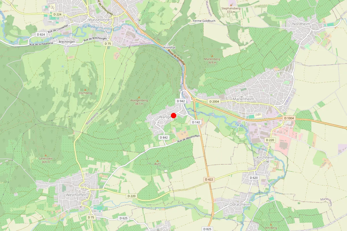 Remplacement de serrure à Wangen